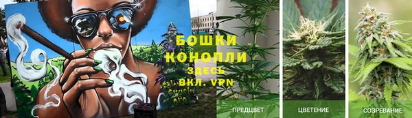 прущая мука Богородицк